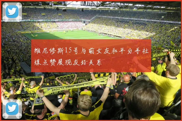维尼修斯15号与前女友和平分手社媒点赞展现友好关系
